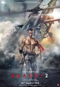 Baaghi 2 (2018) MP4