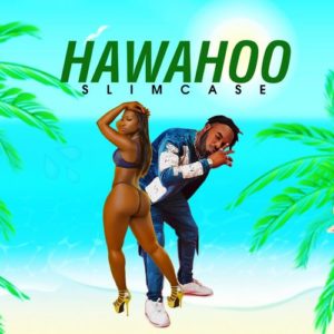 Slimcase – Hawahoo MP3