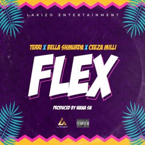 Terri Ft Bella Shmurda & Ceeza Milli – Flex MP3