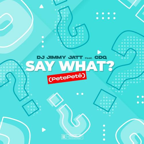 DJ Jimmy Jatt Ft Cdq - Say What? (Pete Pete) MP3