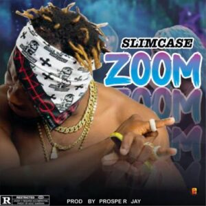Slimcase – Zoom MP3