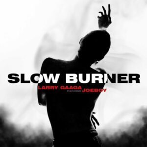 Larry Gaaga ft. Joeboy – Slow Burner MP3