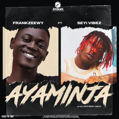 FrankZeewy Ayaminja