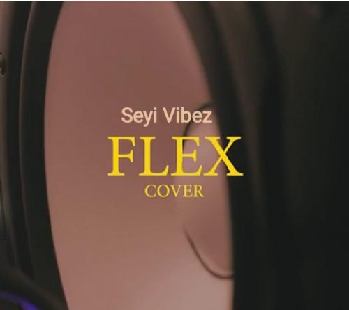 flex cover