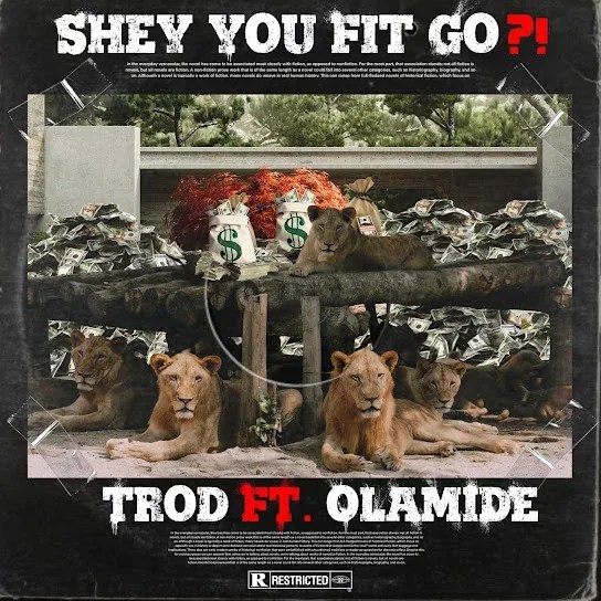 Trod ft Olamide – Shey You Fit Go? MP3