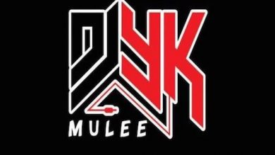 DJ YK – Dildo Cruise Beat MP3 DOWNLOAD