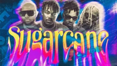 Camidoh Ft. Mayorkun, Darkoo & King Promise – Sugarcane (Remix) MP3 DOWNLOAD