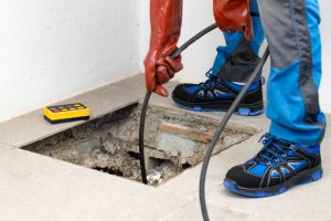 Skilled Jobs in France: A Complete Guide for African Professionals