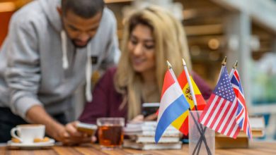Skilled Jobs in the Netherlands: A Complete Guide for Africans – Sectors, Salaries, and Visa Process