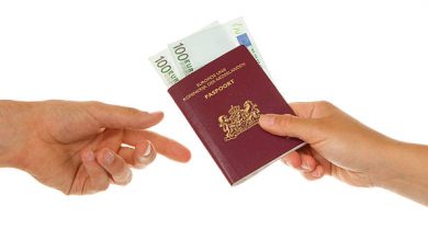 Top Travel Visa Sponsorship Programs in the Canada: Explore Work, Culture, and Earnings