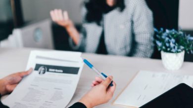Top Travel Visa Sponsorship Programs in the Netherlands: Explore Work, Culture, and Earnings