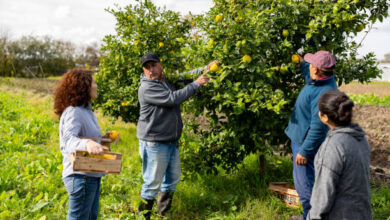 Belgium Skilled Worker Visa Jobs 2025/2026 – Apply Now