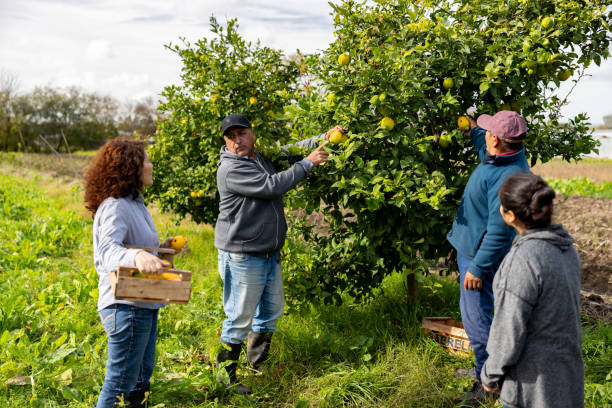 Belgium Skilled Worker Visa Jobs 2025/2026 – Apply Now