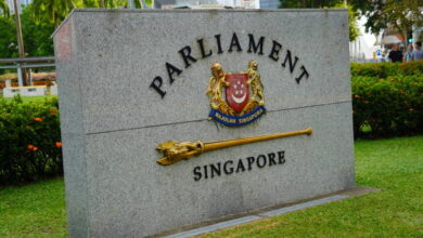 Herbert Scoville Peace Fellowship 2025/2026 in Singapore